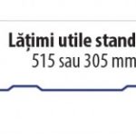 Tabla prefaltuita Click Sectiune profil